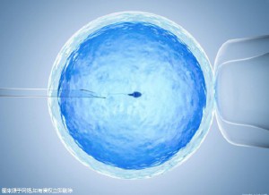 代生男孩包性别